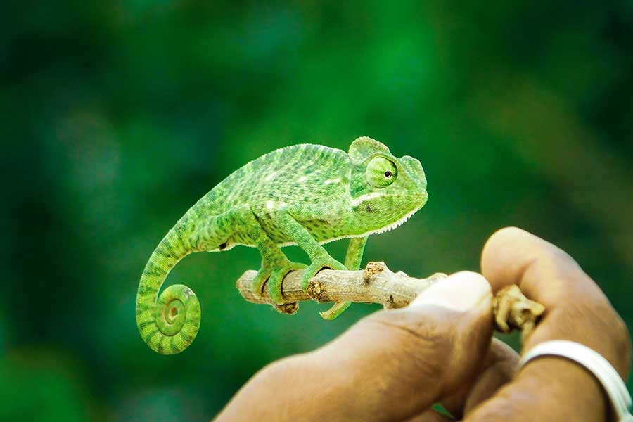 Traveled: Lessons from Taking Risks Post 13